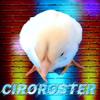 ciroroster