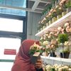 itsmenurulhanani