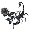 blackscorpion.0