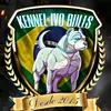 kennel_ivo_bulls