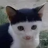khanhhdannn13