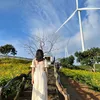 dohoangtrang88