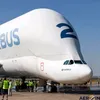 metal_belugawhale