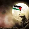 anjumkhan5973