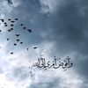 ibn.zamalek.praise