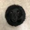 imfunary