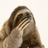 philoslothical5