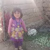 paroas_marad63
