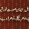 aliwaheed5538