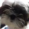 rodneysmachado