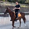 Metin Cengiz