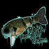 bna_custom_lures