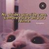 ame16m8t6