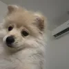 zkkkdkkd