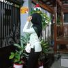 aprliaaee
