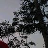rioardana266