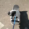 agusymuss