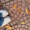 cherry_alice0306