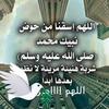 mohamedsalama4652