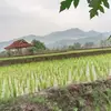 fauzann_001