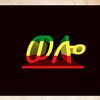 wollo_7