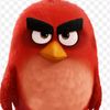 angry_bird1233