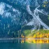 artem_saurma