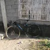 aldrinviloria72