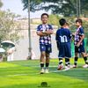 farisalqizar2