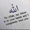 atifkhan8279