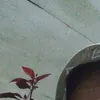 liamulyani301