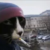 thich_ve_muc