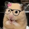 tam_tamppu0