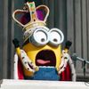 officialkingbob1