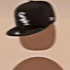 scemochilegge1700z