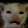meomeomeomeo01111