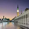 tarektaarek131