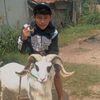 bobotohpersib002