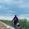Sampah daur ulang