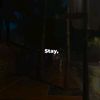 zoy_xz