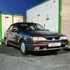 taipan3265