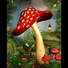 mushroom_688