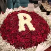 renanuraini65