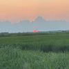 unknown_2548