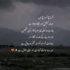 umer3533