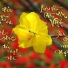 minhthanh1985081