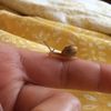 thatsnailmom