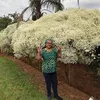 marleneprates715