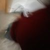 ertilarevuqi3