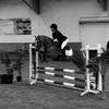 die.zwei_seelenponys